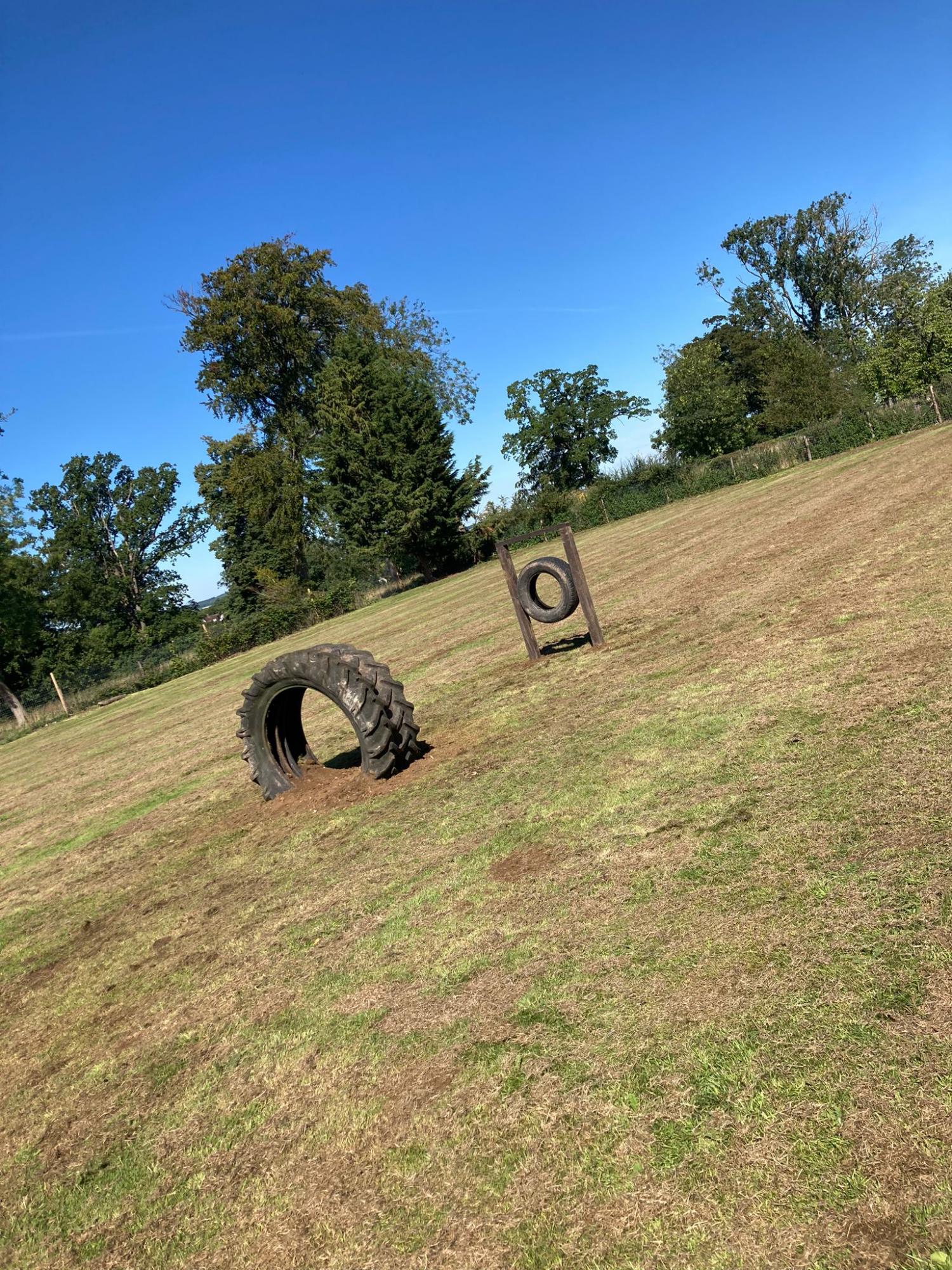 Gallery - Hitchin Dog Park -